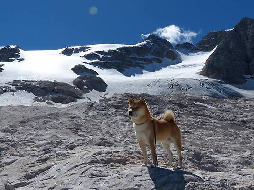 从蒙特卡洛的黑暗时刻到伦敦的王座，西西帕斯如何以大师赛之败为阶，登顶ATP总决赛