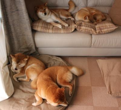 神话诞生，当郑思维空降欧罗巴—丹麦队轻取德国之战，一场被东方魔法统治的颠覆对决