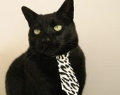 唯一,拉文制胜球粉碎质疑,新疆创造历史