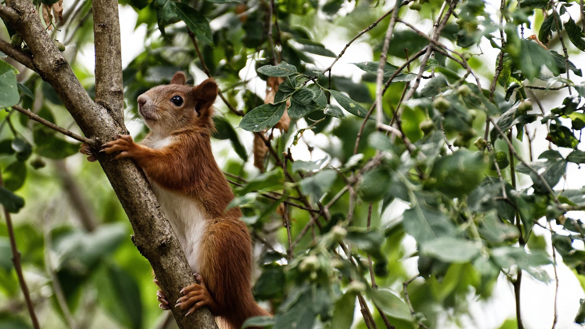 爱游戏下载-秒针与绝杀者，论劳塔罗的稳定与毕尔巴鄂的突尼斯时刻