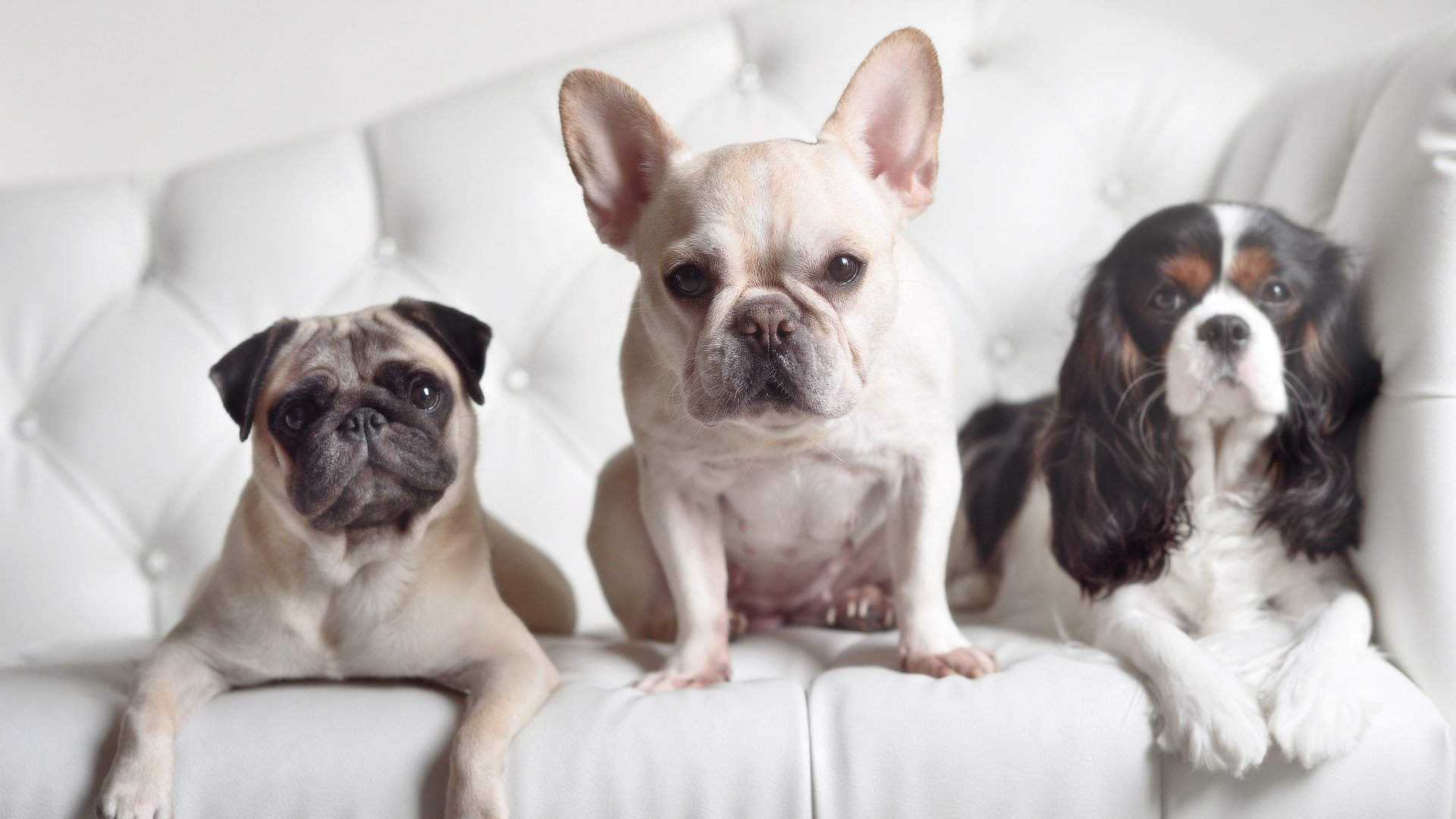 爱游戏官方入口-绝美弧线，逆袭风暴与华丽盛宴，足球平行宇宙的同一日