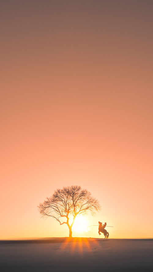 沉寂后的惊雷,西决生死夜,克莱·汤普森投出的不仅是三分