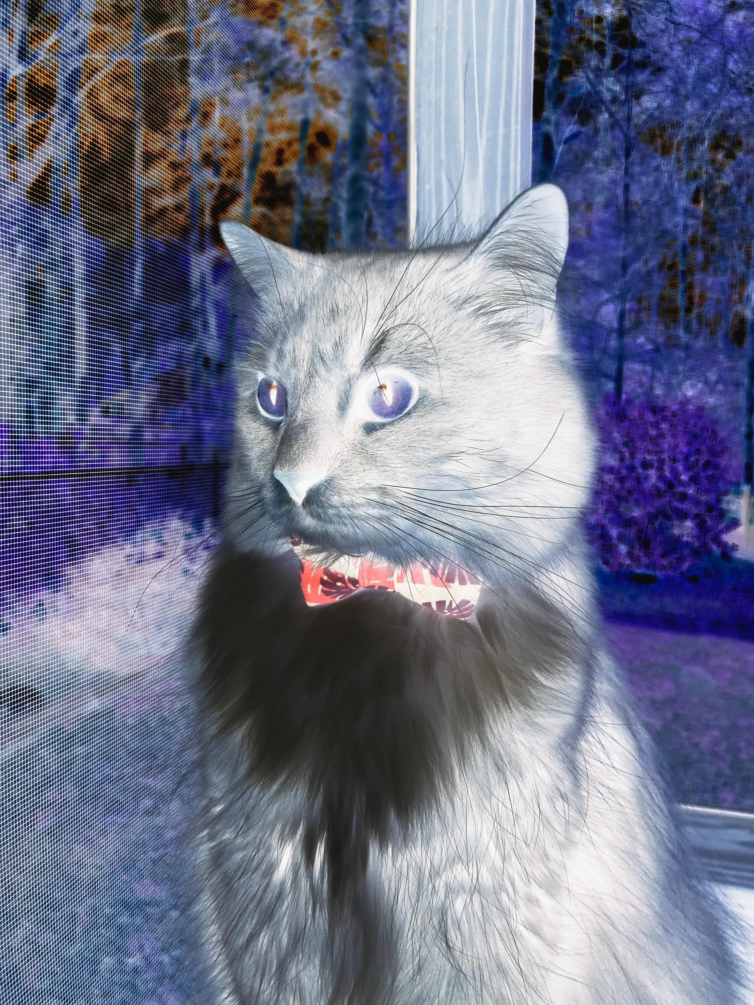 历史与像素,狂热德比与冷刀爆冷背后,对抗的永恒法则