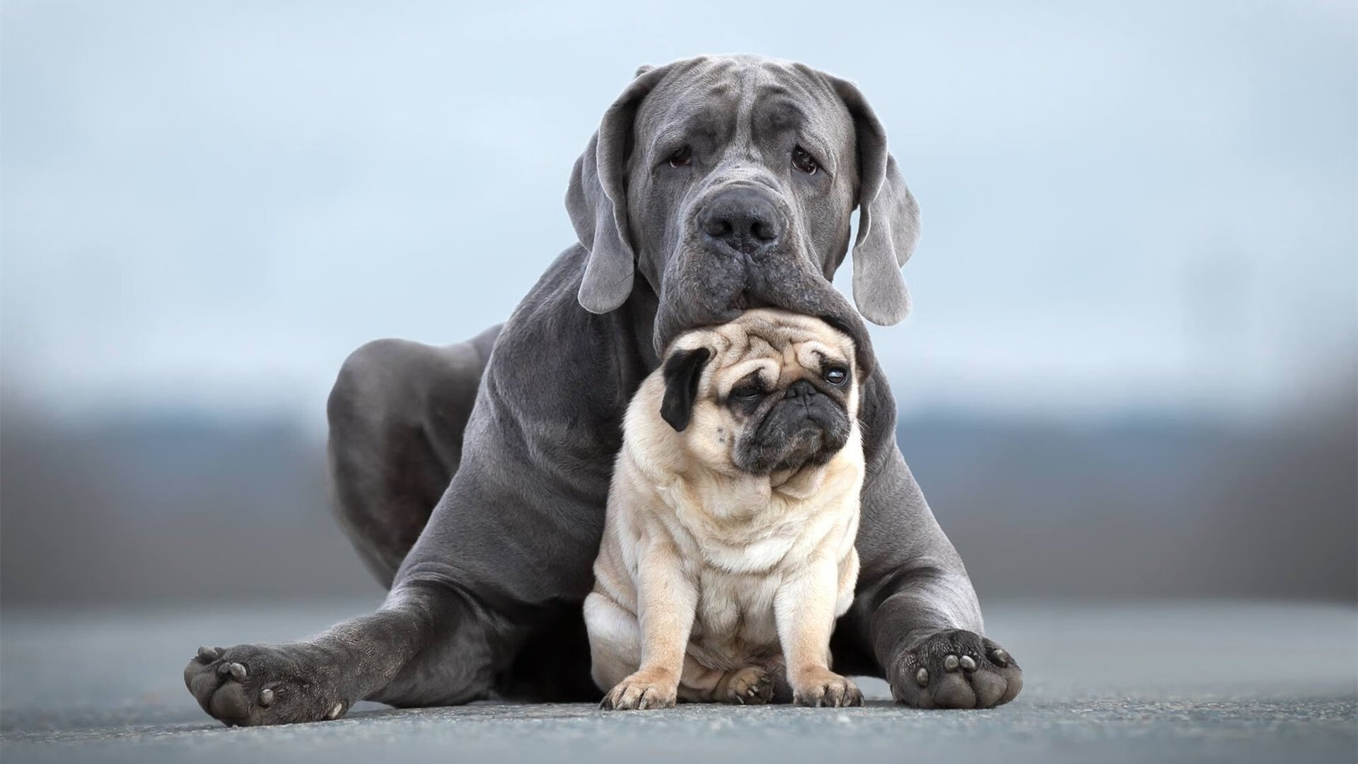 逆转之魂,足球史诗中的英超激战与皇马奇迹