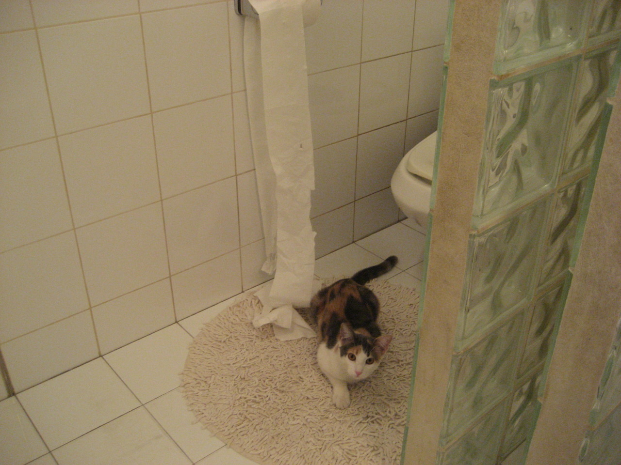 惊涛骇浪！关键先生乔治一波流主宰比赛，北京队上演逆转好戏