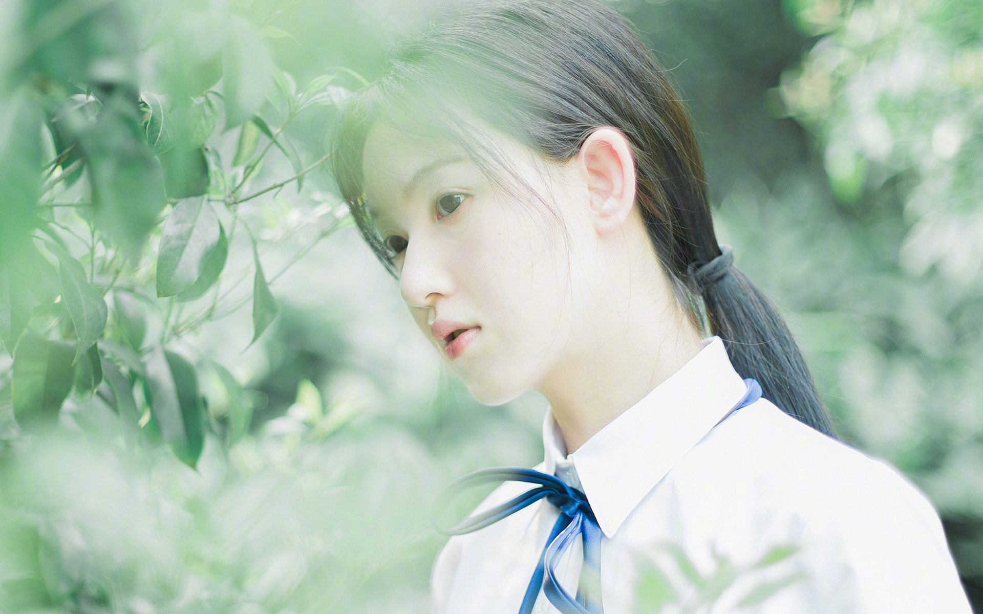 爱游戏官方入口-澳洲烈焰燃爆绿茵，一场堪比西甲国家德比的南半球焦点战