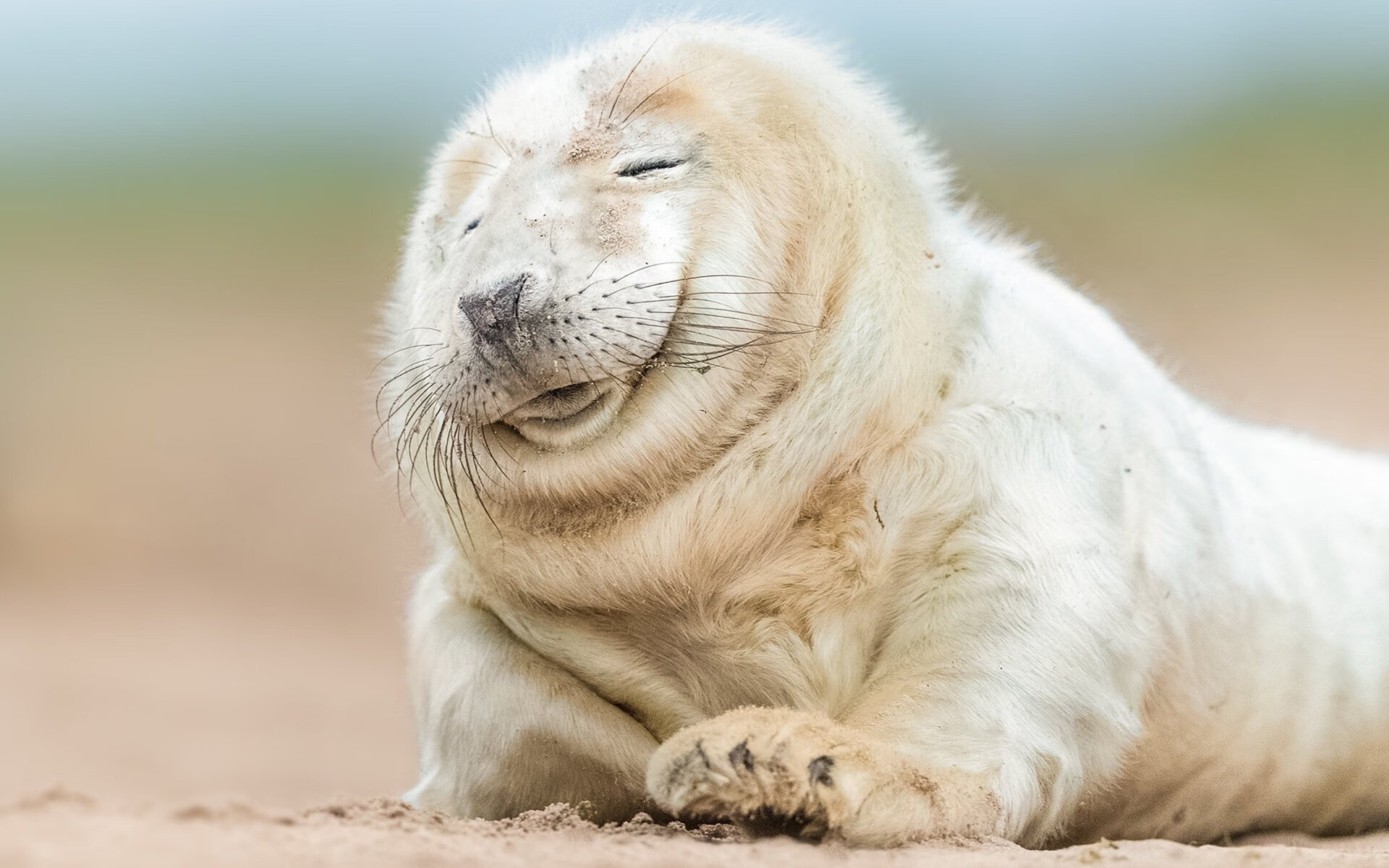 爱游戏官网-官宣前夜，贝林厄姆友谊赛爆发，曼联验货后强势拿下摩洛哥