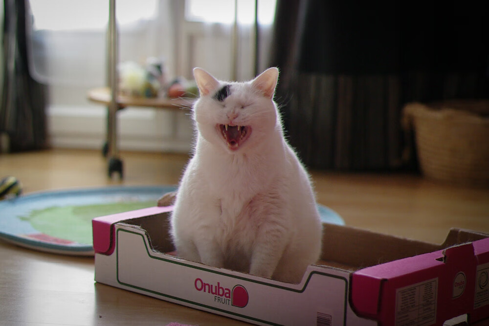 末节觉醒,浙江队逆转魔术,霍勒迪制胜一投定乾坤