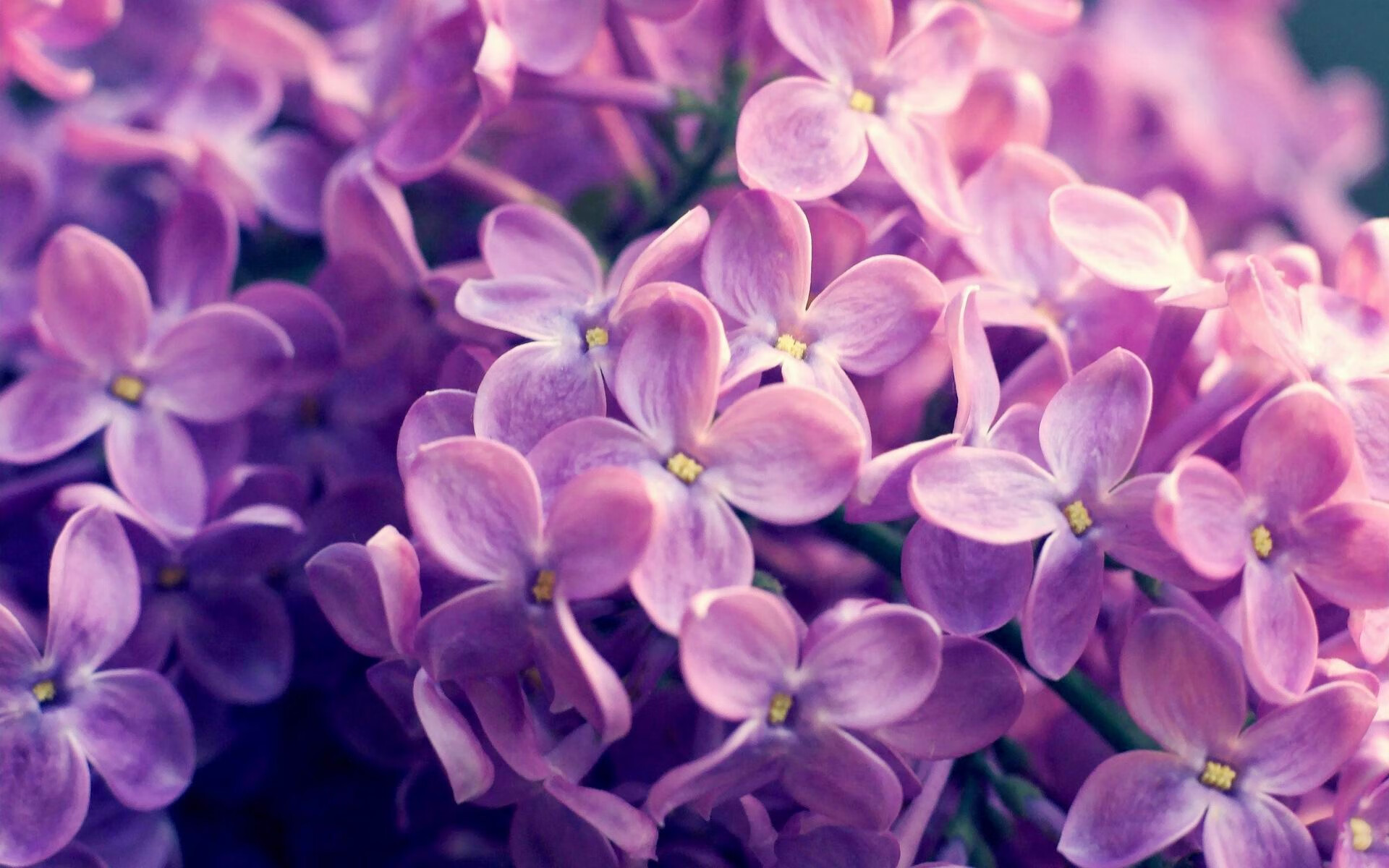 杰伦·格林单防化身铁闸，关键抢断助快船险胜上海队