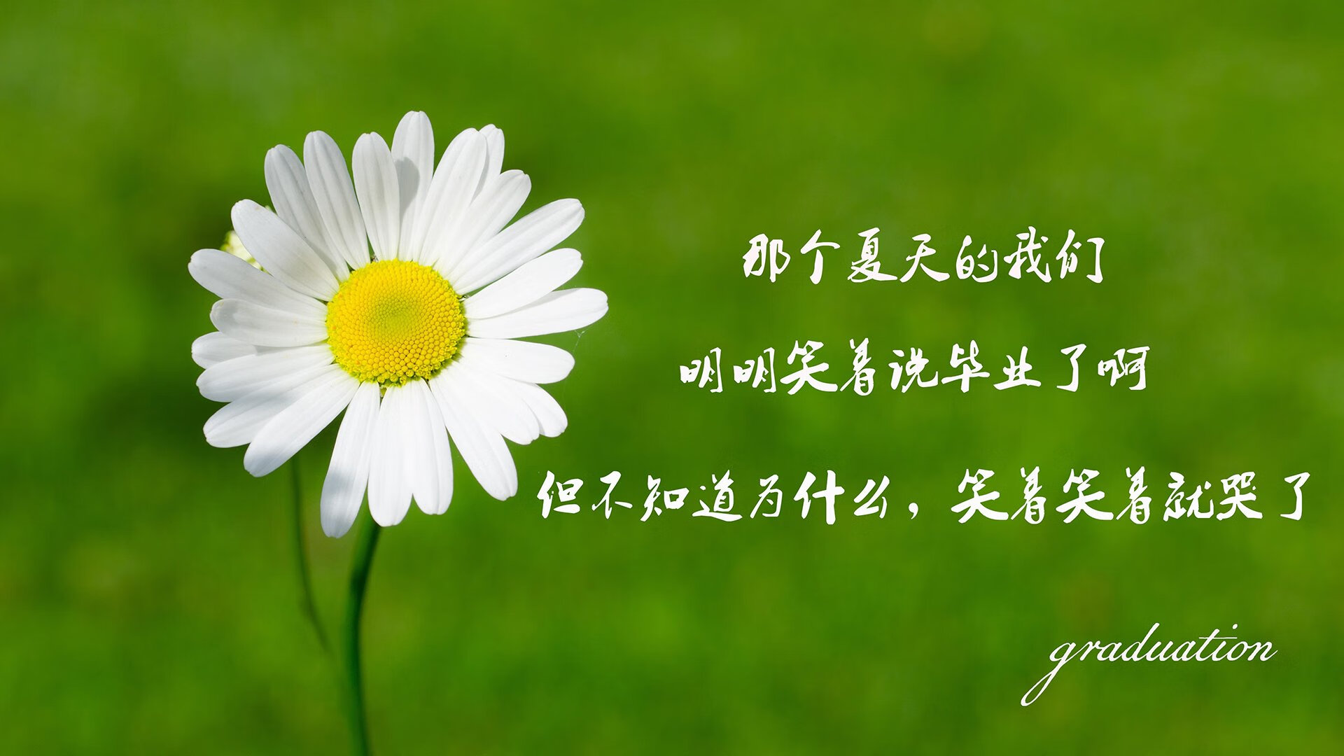 2026世界杯F组生死战,萨卡一剑封喉,泰国改写历史的窒息之夜
